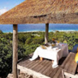 Meet your Posher, Nadine